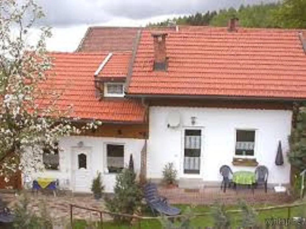 Holiday home Ferienwohnung Am Zechenhaus Bodenmais Germany